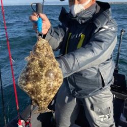 シーマジカル 釣果