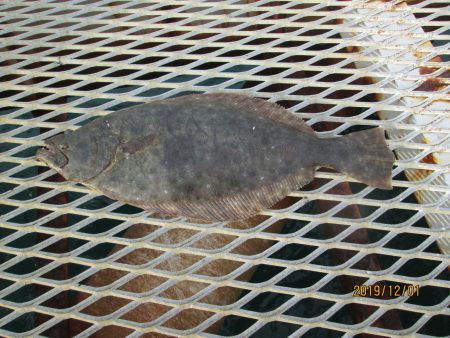 下関フィッシングパーク 釣果