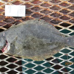 下関フィッシングパーク 釣果