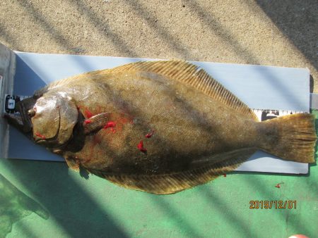 下関フィッシングパーク 釣果