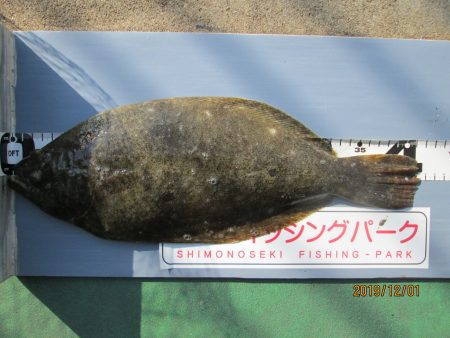 下関フィッシングパーク 釣果