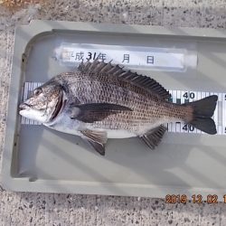 姫路市立遊魚センター 釣果