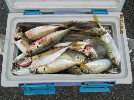 下関フィッシングパーク 釣果