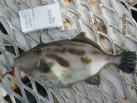 下関フィッシングパーク 釣果