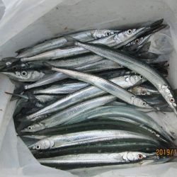 下関フィッシングパーク 釣果