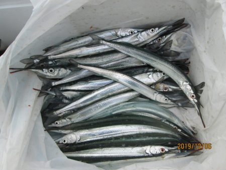 下関フィッシングパーク 釣果