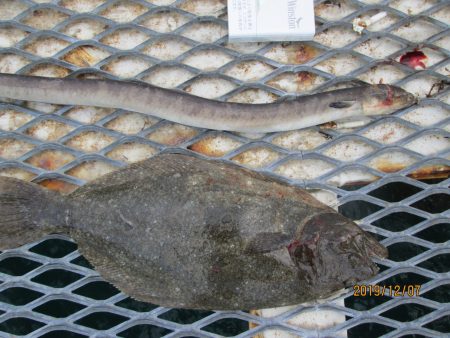 下関フィッシングパーク 釣果