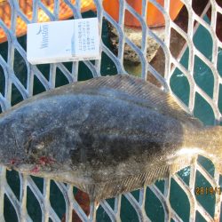 下関フィッシングパーク 釣果