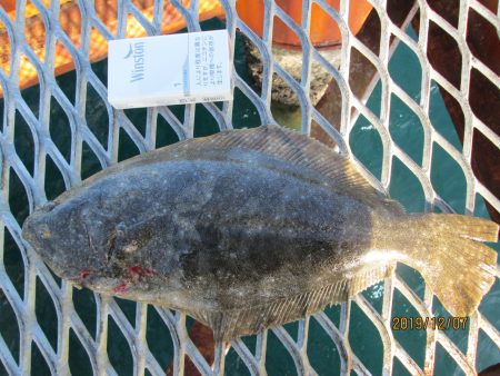 下関フィッシングパーク 釣果