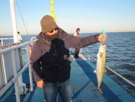 オリジナルメーカー海づり公園(市原市海づり施設) 釣果