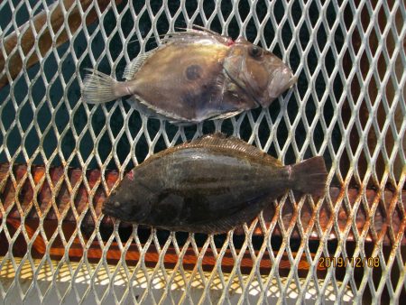 下関フィッシングパーク 釣果