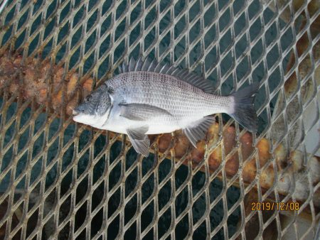 下関フィッシングパーク 釣果