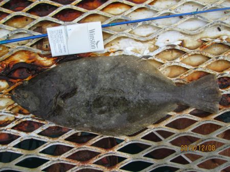 下関フィッシングパーク 釣果