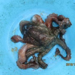 下関フィッシングパーク 釣果