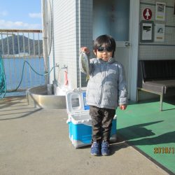 下関フィッシングパーク 釣果