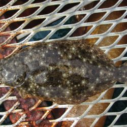 下関フィッシングパーク 釣果