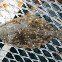 下関フィッシングパーク 釣果