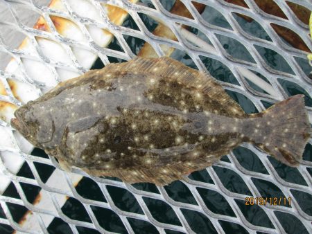 下関フィッシングパーク 釣果