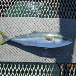 下関フィッシングパーク 釣果