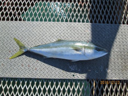 下関フィッシングパーク 釣果