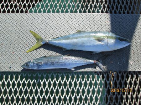 下関フィッシングパーク 釣果