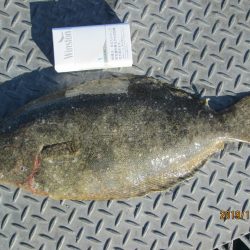 下関フィッシングパーク 釣果