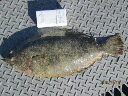 下関フィッシングパーク 釣果