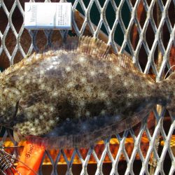 下関フィッシングパーク 釣果