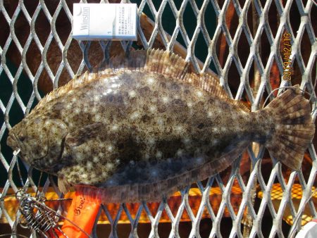 下関フィッシングパーク 釣果