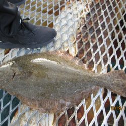 下関フィッシングパーク 釣果