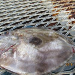 下関フィッシングパーク 釣果