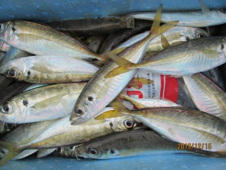 下関フィッシングパーク 釣果