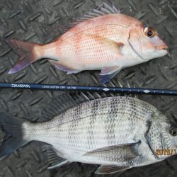 下関フィッシングパーク 釣果