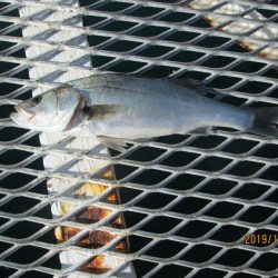 下関フィッシングパーク 釣果