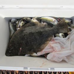 下関フィッシングパーク 釣果