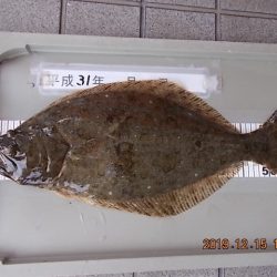 姫路市立遊魚センター 釣果