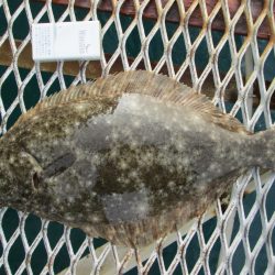 下関フィッシングパーク 釣果