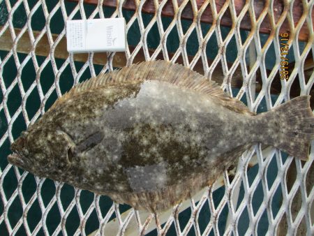 下関フィッシングパーク 釣果