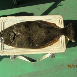 下関フィッシングパーク 釣果