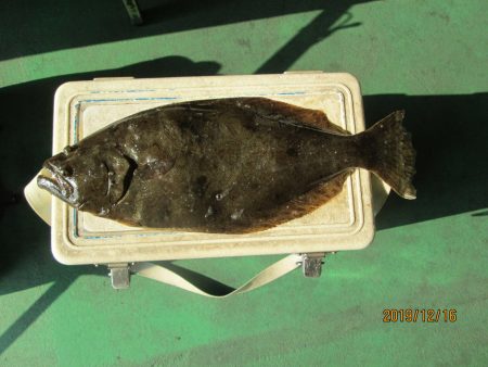 下関フィッシングパーク 釣果