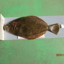 下関フィッシングパーク 釣果