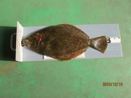 下関フィッシングパーク 釣果