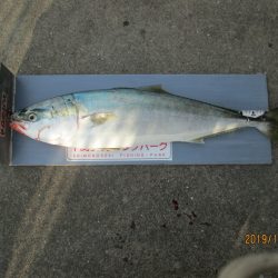 下関フィッシングパーク 釣果