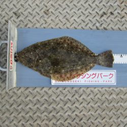 下関フィッシングパーク 釣果