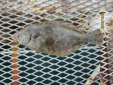 下関フィッシングパーク 釣果