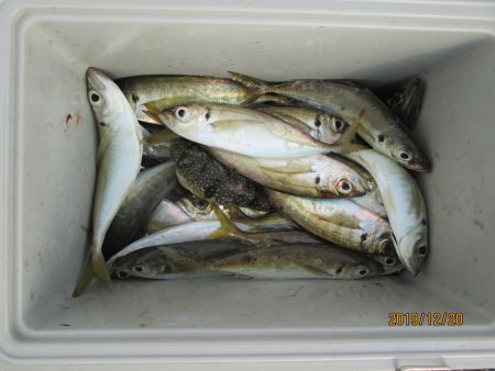 下関フィッシングパーク 釣果