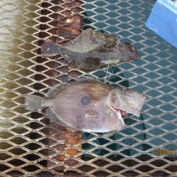 下関フィッシングパーク 釣果