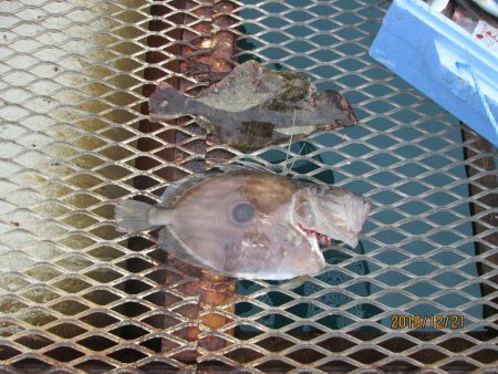 下関フィッシングパーク 釣果