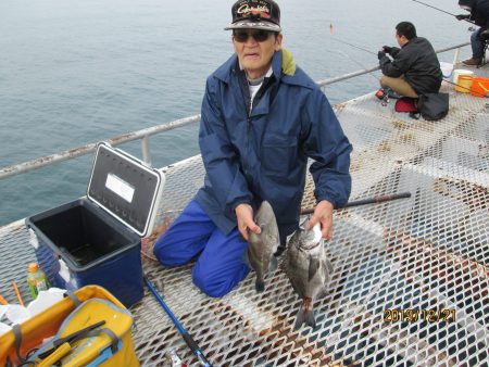 下関フィッシングパーク 釣果