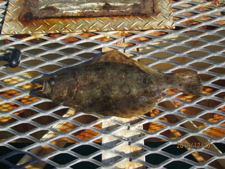 下関フィッシングパーク 釣果